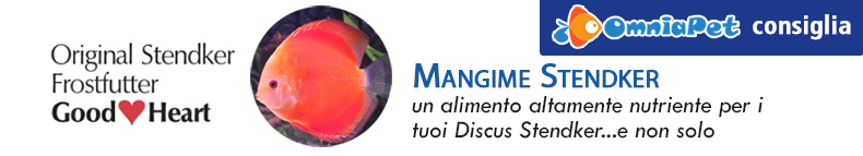 mangime stendker